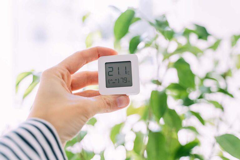 Cool bleiben: Temperaturregelung im Sommer